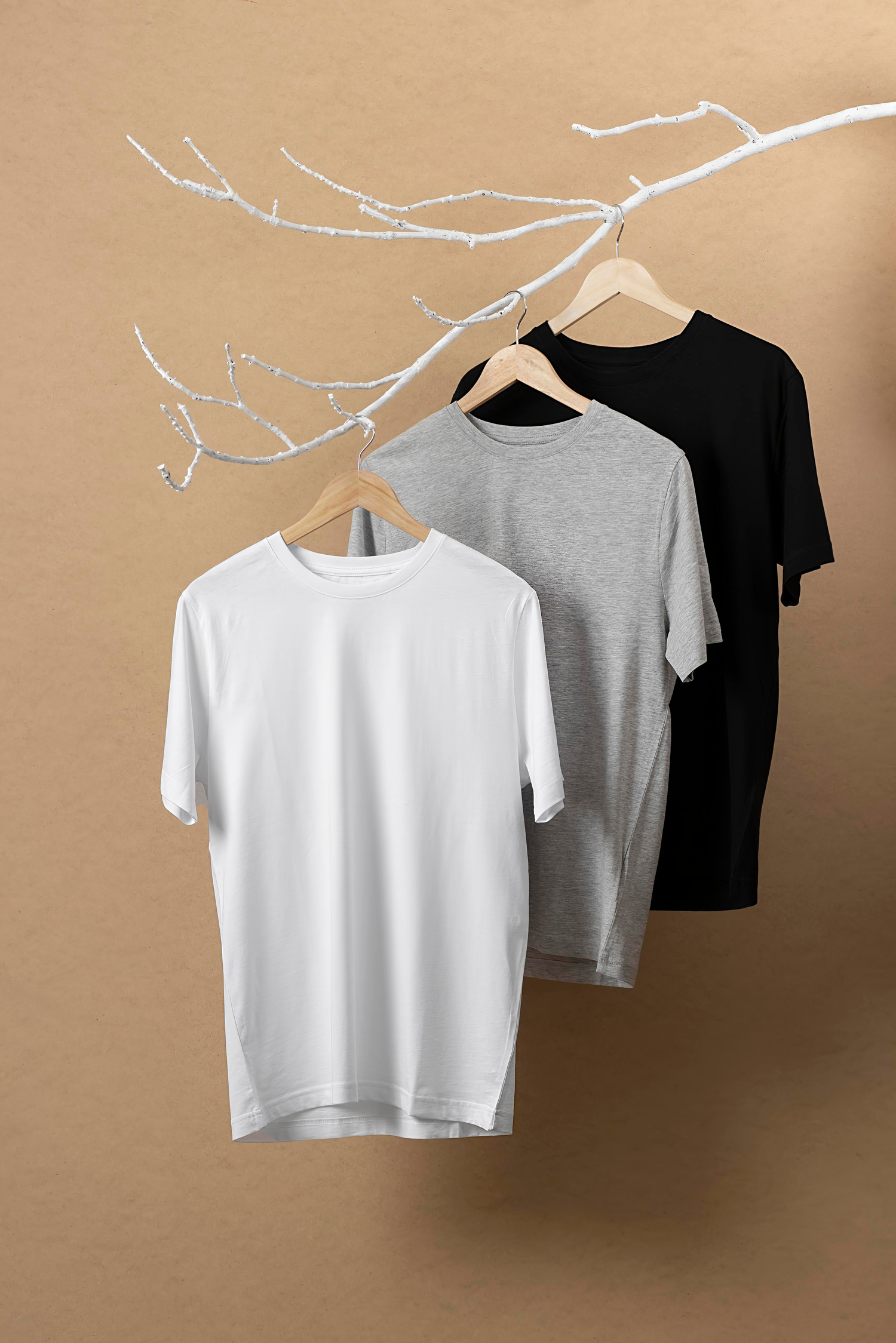 Solid T-Shirts - My Store